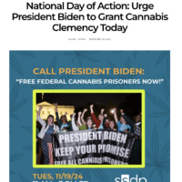 National Day of Action: Urge President Biden to Grant Cannabis Clemency Today – Stupiddope